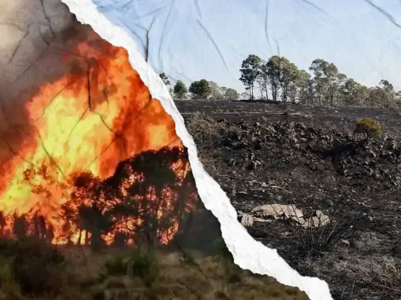Puebla registra 136 incendios forestales en primer trimestre del 2026