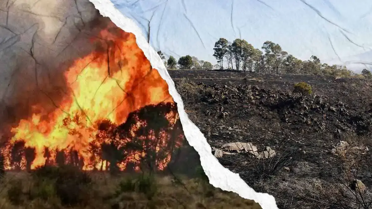 Puebla registra 136 incendios forestales en primer trimestre del 2026