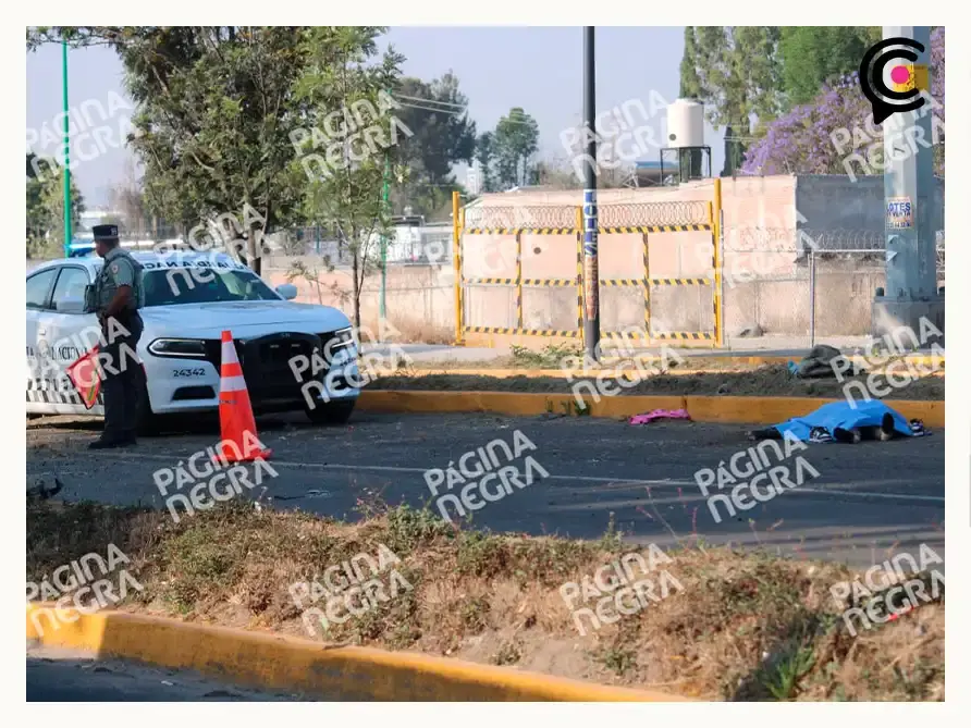 Mujer muere en choque de BMW sobre la carretera federal Puebla-Tlaxcala; conductor y acompañantes borrachos huyen