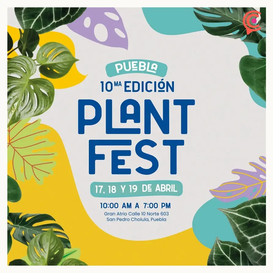 Plant Fest regresa a San Pedro Cholula este 2026; será pet friendly