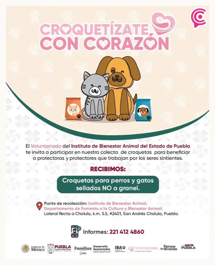 IBA Puebla lanza colecta permanente de alimento para michis y lomitos; así puedes donar