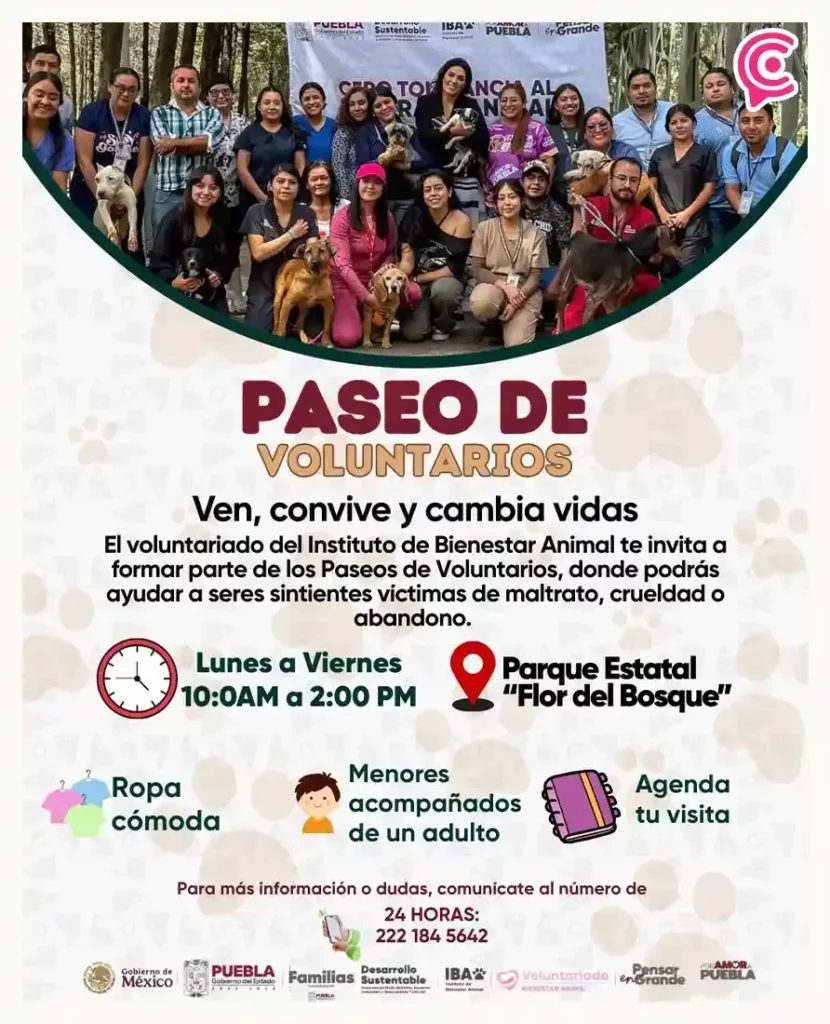 IBA Puebla lanza colecta permanente de alimento para michis y lomitos; así puedes donar