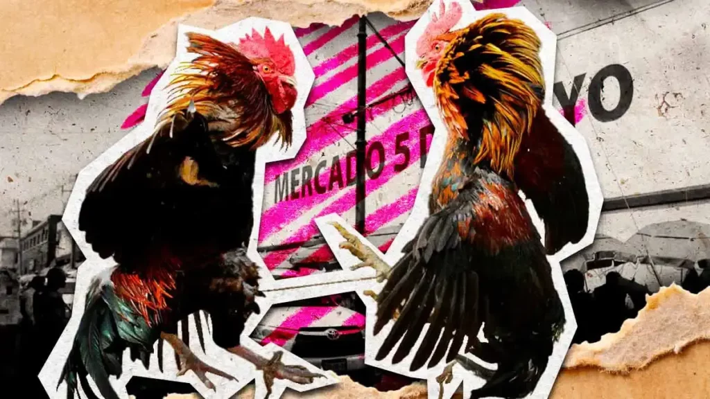Segom Puebla frena peleas de gallos en Mercado 5 de Mayo de Puebla por aniversario