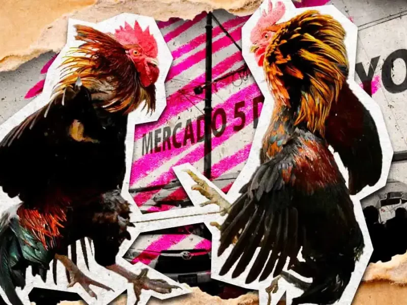 Segom Puebla frena peleas de gallos en Mercado 5 de Mayo de Puebla por aniversario