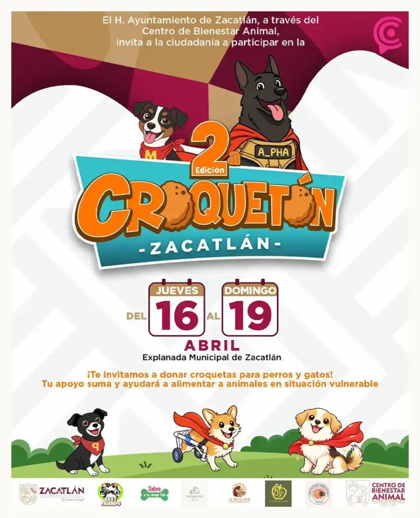 Zacatlán organiza el Croquetón 2026 para ayudar a lomitos y michis en situación vulnerable