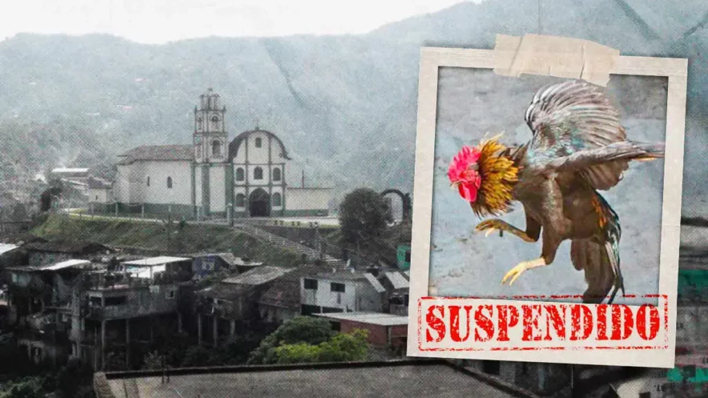 IBA Puebla suspende torneo de gallos en Amixtlán; internautas aplauden decisión