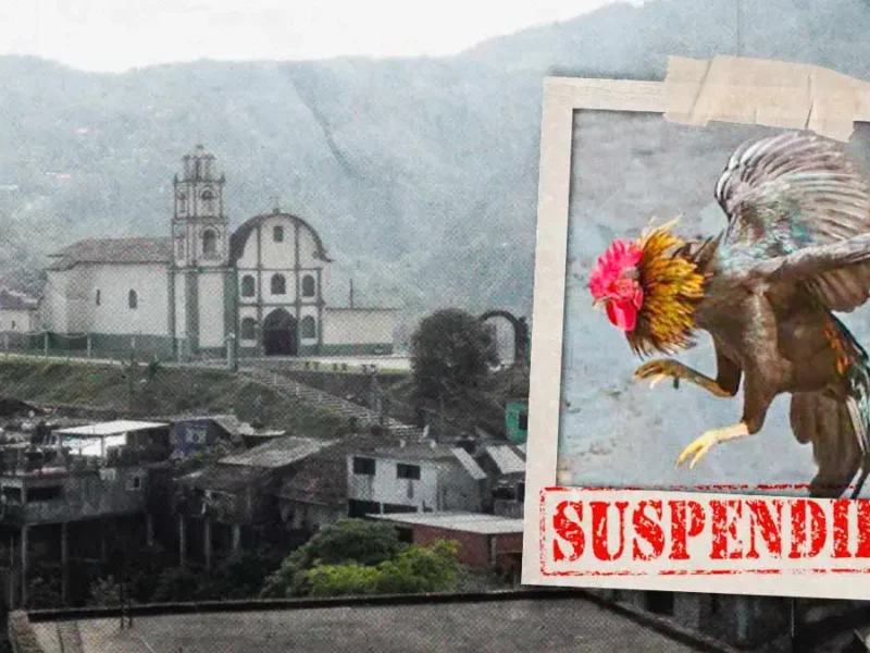IBA Puebla suspende torneo de gallos en Amixtlán; internautas aplauden decisión