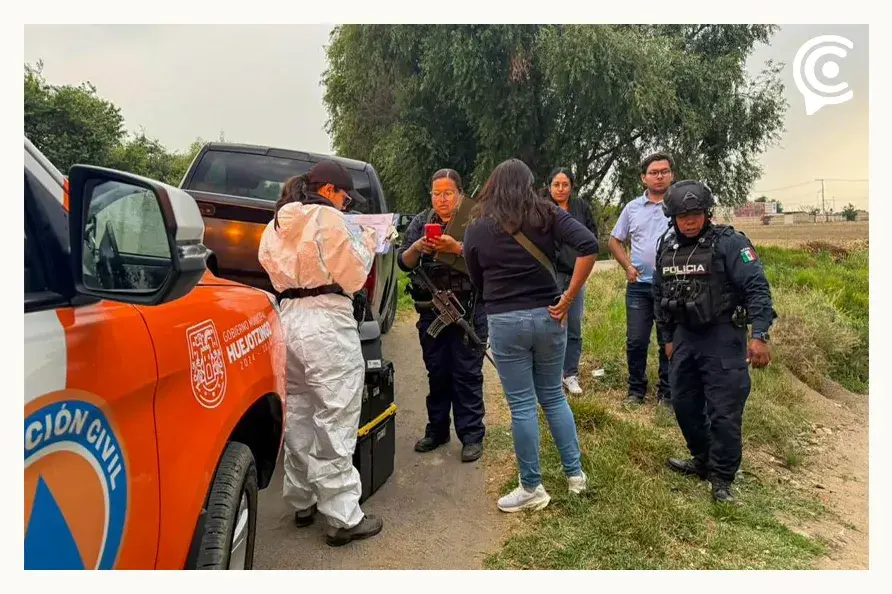 Torturan y asesinan a siete perros en Huejotzingo, Puebla; autoridades piden respeto a seres sintientes