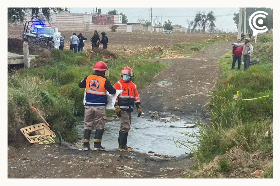 Torturan y asesinan a siete perros en Huejotzingo, Puebla; autoridades piden respeto a seres sintientes