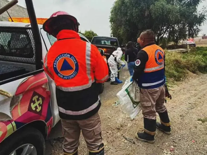 Torturan y asesinan a siete perros en Huejotzingo, Puebla; autoridades piden respeto a seres sintientes