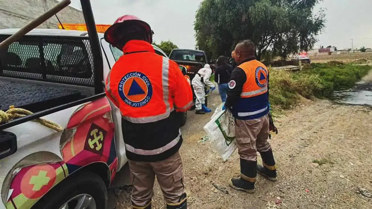 Torturan y asesinan a siete perros en Huejotzingo, Puebla; autoridades piden respeto a seres sintientes