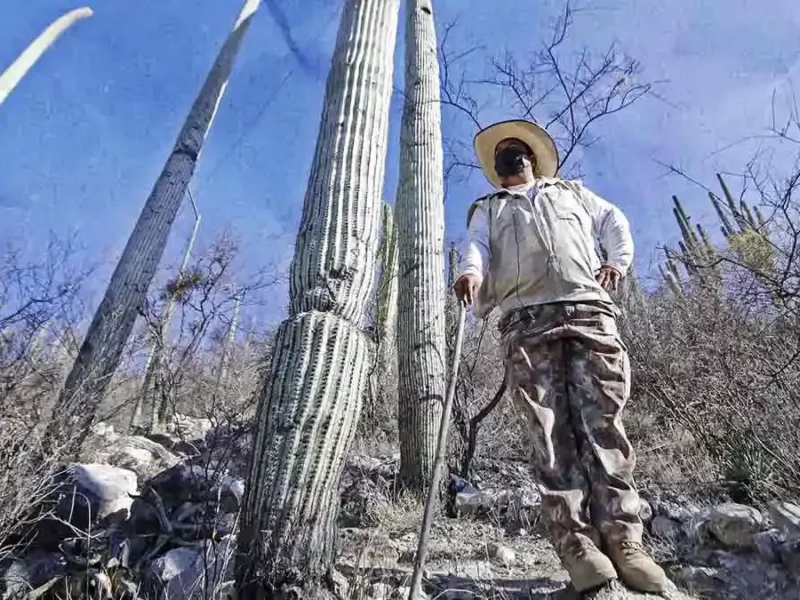 Profepa frena urbanización ilegal en Reserva Tehuacán-Cuicatlán; hay daño en casi 45 hectáreas