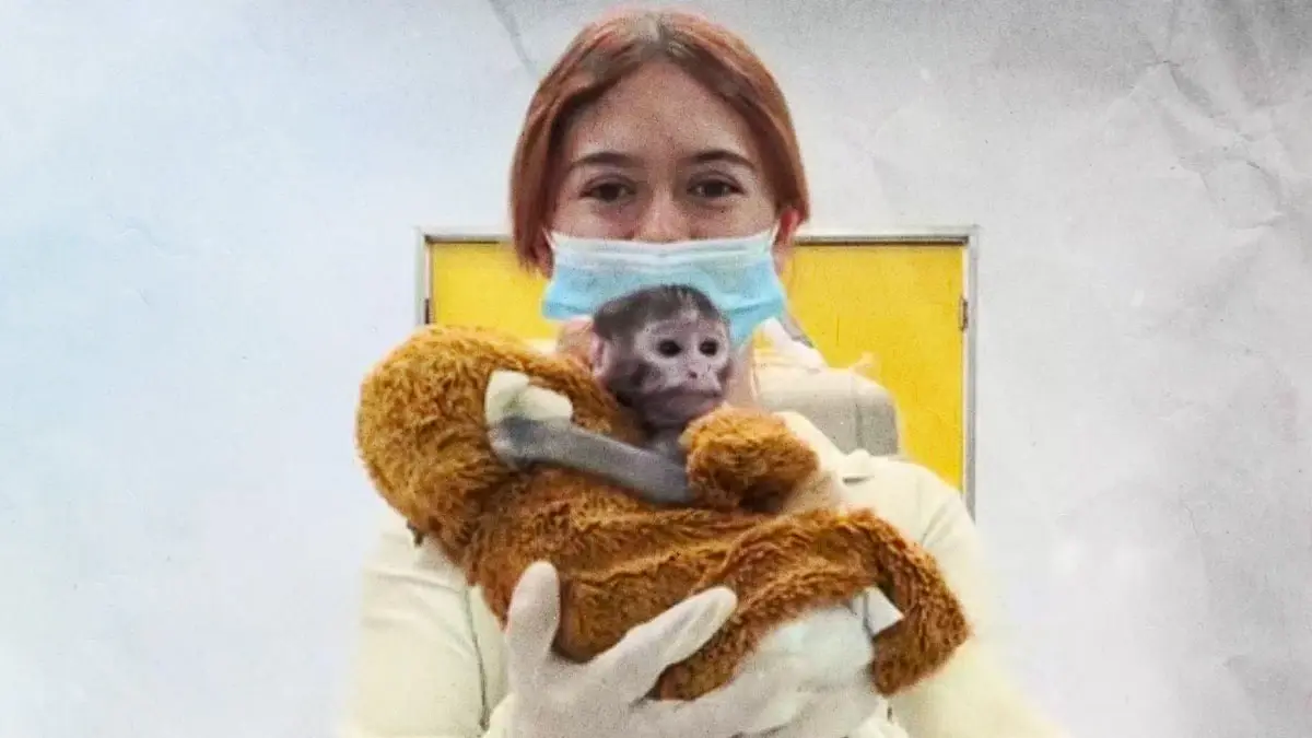 Yuji, el “Punch mexicano”, el mono bebé que conquista a visitantes del Zoológico de Guadalajara