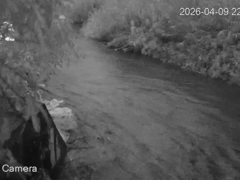 Refuerza Gobierno de Pepe Chedraui vigilancia y respuesta ante lluvias en la capital