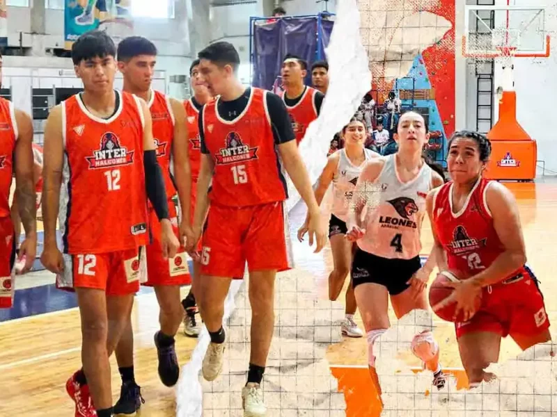 Halcones de la Universidad Interamericana se acercan a clasificar al torneo Ocho grandes