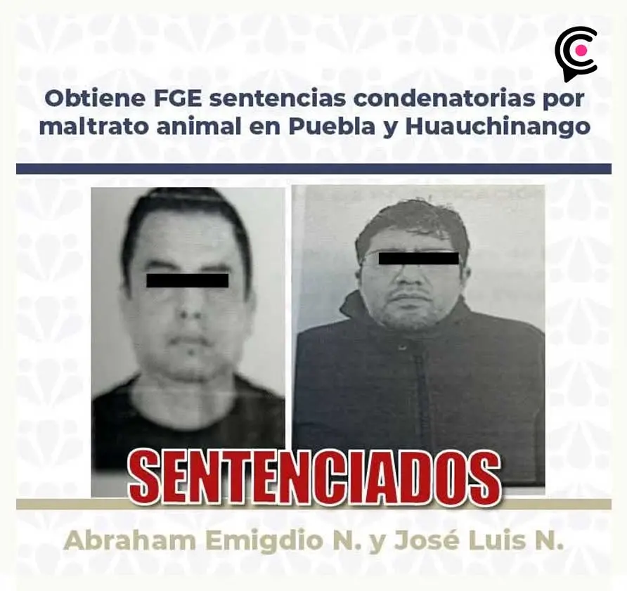 Fiscalía logra sentencias contra dos hombres por maltrato animal en Puebla y Huauchinango
