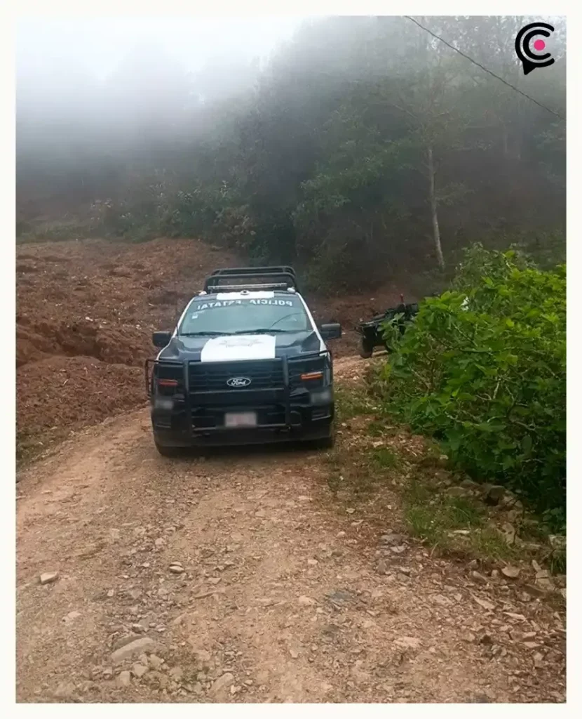 SSP y FGR aseguran terreno de cultivo de amapola en Zoquitlán, Puebla