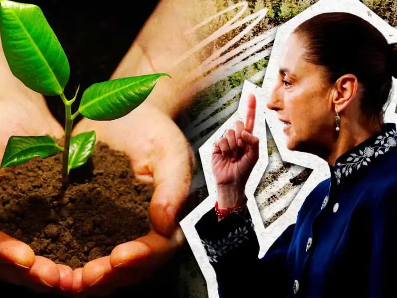 Claudia Sheinbaum propone programa global de reforestación con inversión militar durante visita a Barcelona
