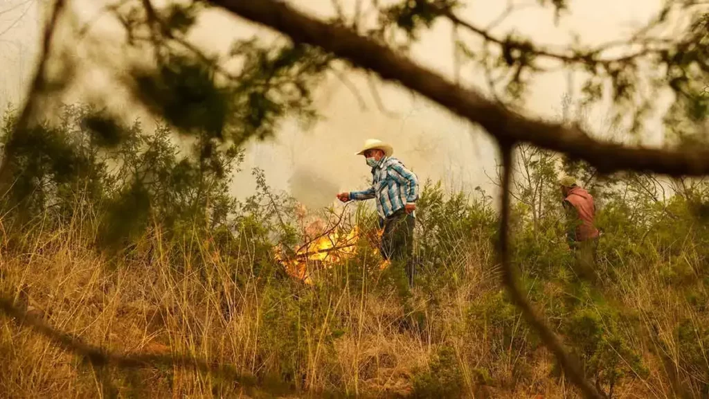 Puebla registra 154 incendios forestales hasta abril del 2026