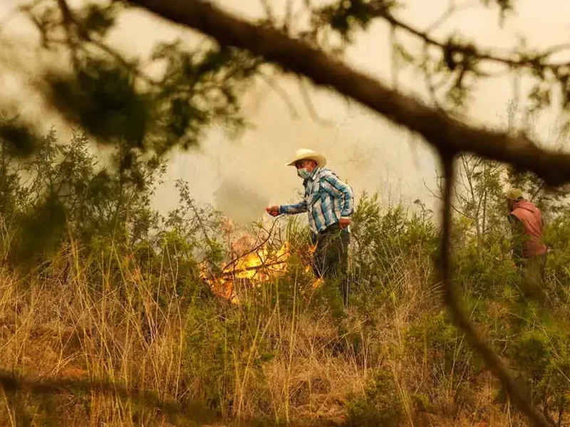 Puebla registra 154 incendios forestales hasta abril del 2026
