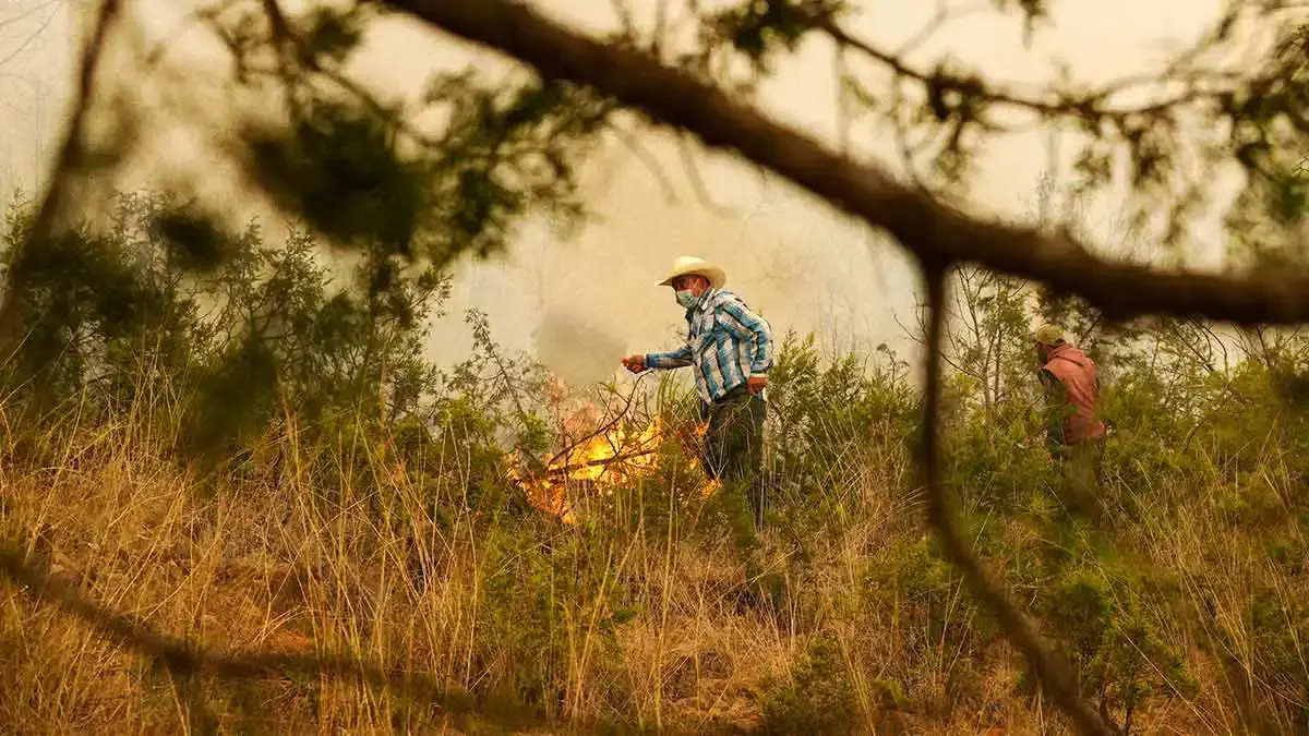 Puebla registra 154 incendios forestales hasta abril del 2026