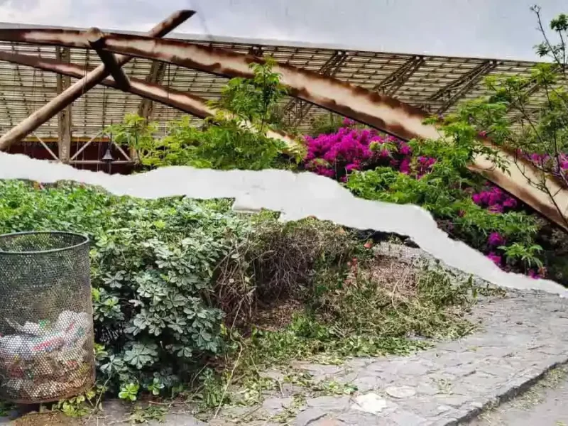 Inseguridad y abandono mantienen al Parque Paseo de San Francisco como zona de riesgo en Puebla