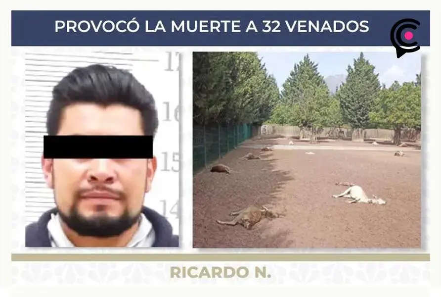 Ratifican sentencia contra Ricardo N por matar a 32 venados en Volcanic Park, Puebla
