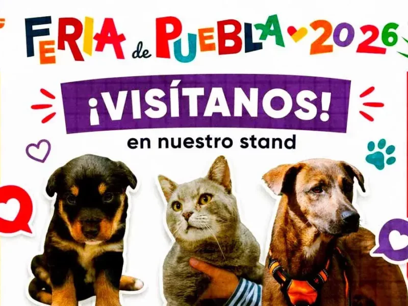 DIF Puebla promueve adopción de perros en la Feria 2026