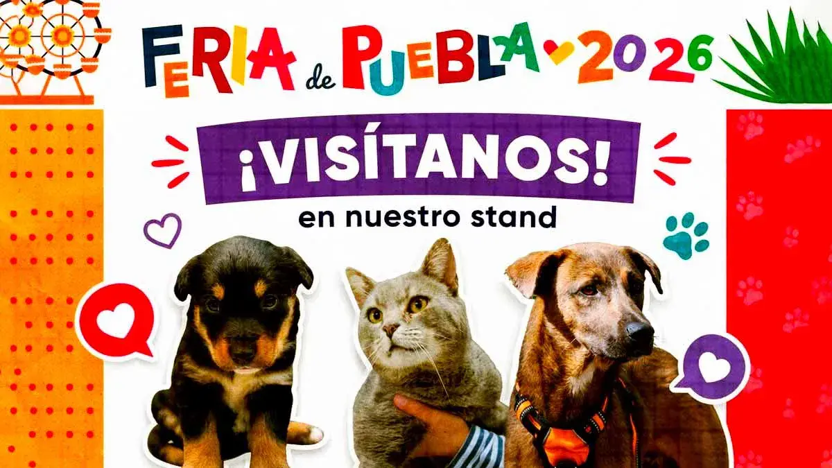 DIF Puebla promueve adopción de perros en la Feria 2026