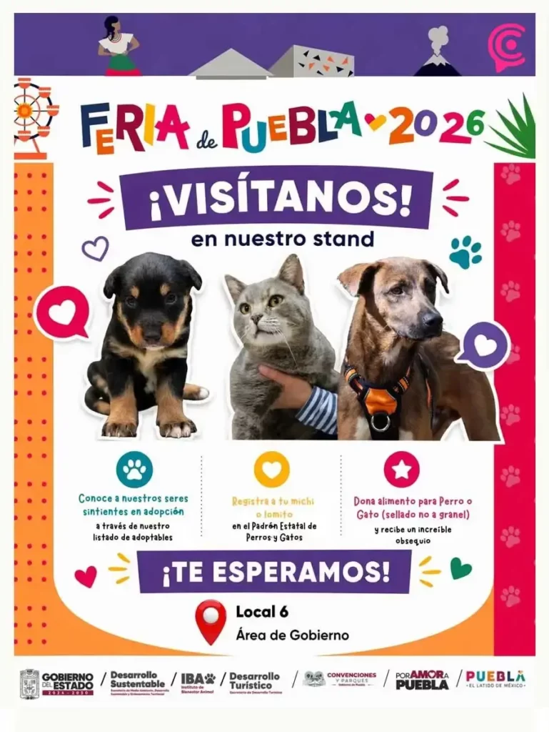 DIF Puebla promueve adopción de perros en la Feria 2026