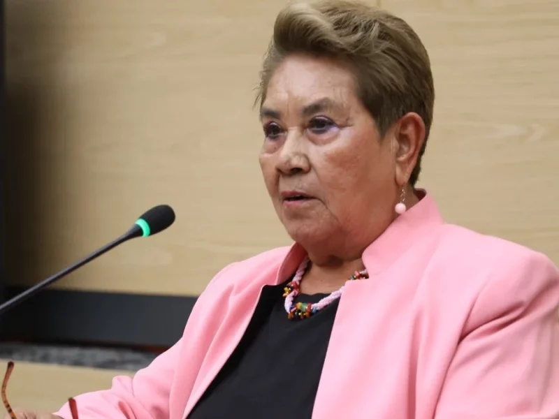 Presenta diputada Modesta Delgado propuesta legislativa contra acoso sexual callejero y en el transporte público