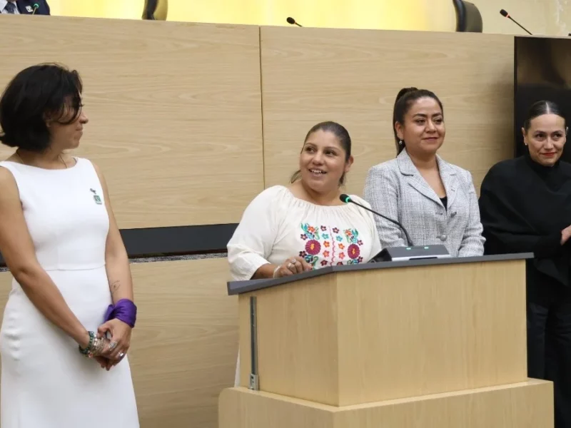 Propone Jaime Natale considerar como discriminación impedir el acceso a lugares con perros guía 