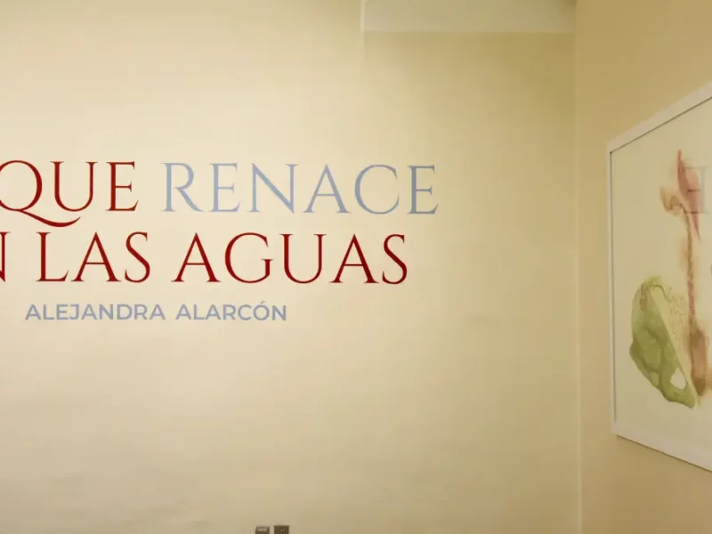 El arte nos permite atravesar la dualidad entre la vida y la muerte: Alejandra Alarcón