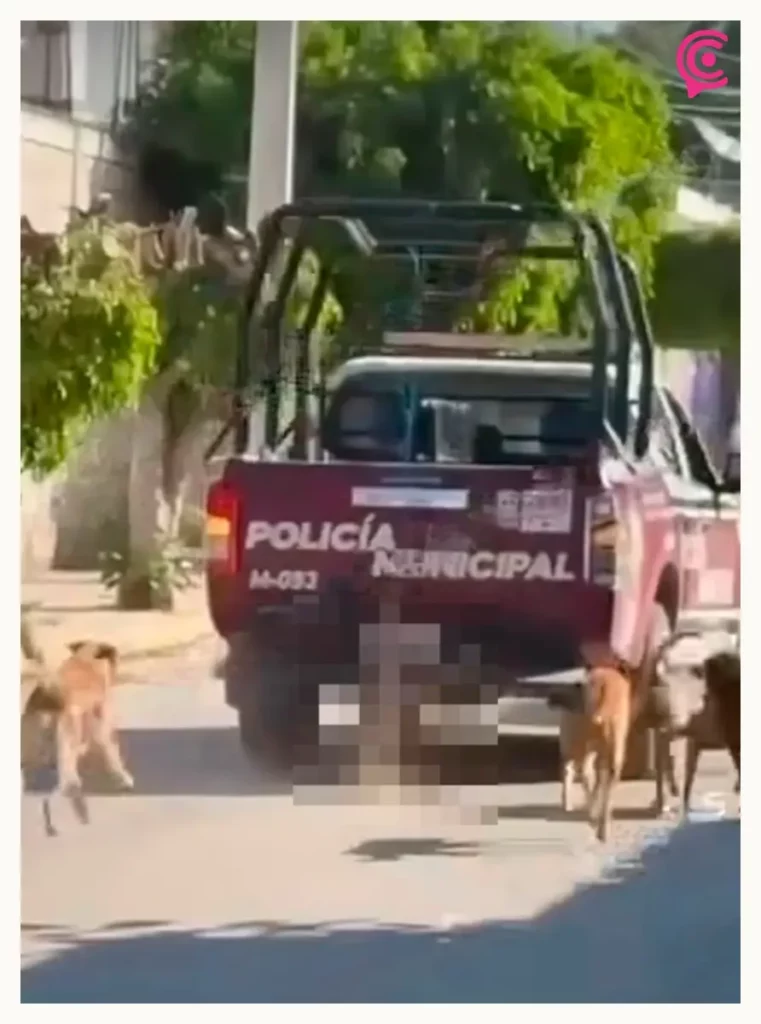 Denuncian a policías en Puebla por arrastrar a perro con su patrulla