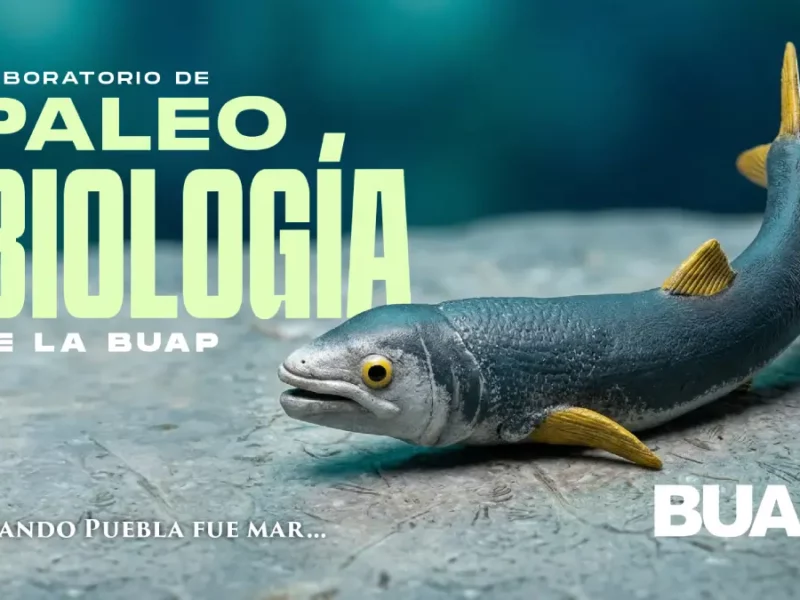 Laboratorio de Paleobiología de la BUAP, evidencia de vida del pasado para interpretar el presente y vislumbrar un futuro