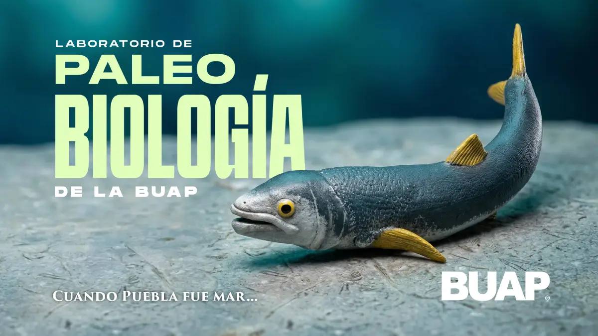Laboratorio de Paleobiología de la BUAP, evidencia de vida del pasado para interpretar el presente y vislumbrar un futuro