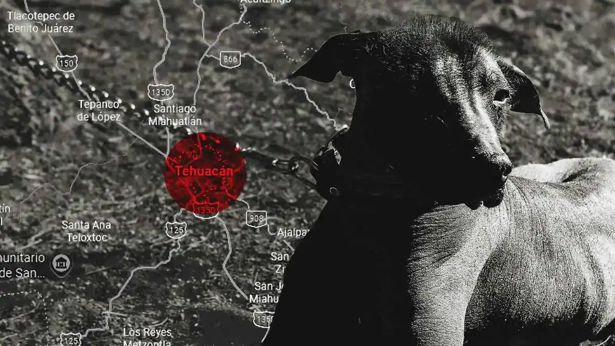 Ponen en libertad a hombre que mató a su perro a machetazos en Puebla
