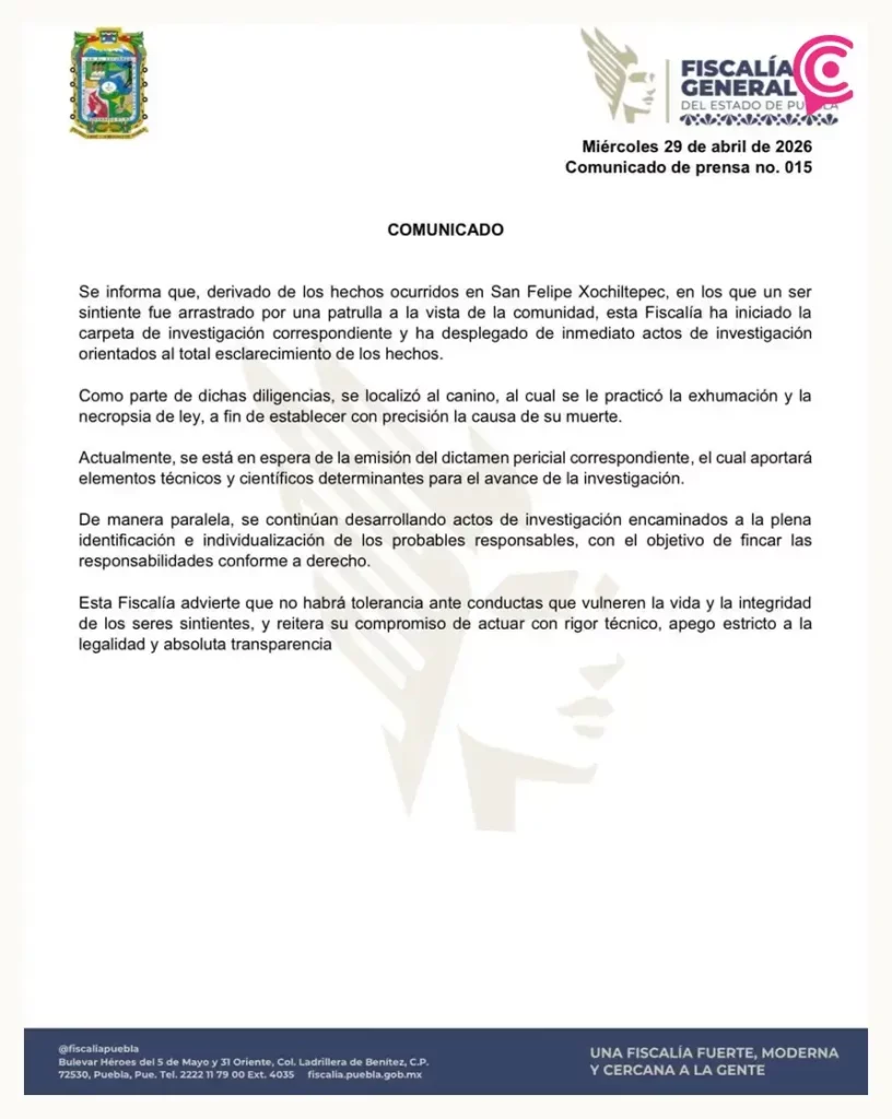Alejandro Armenta exige castigo contra policías que arrastraron a perro en Xochiltepec; Fiscalía de Puebla investiga