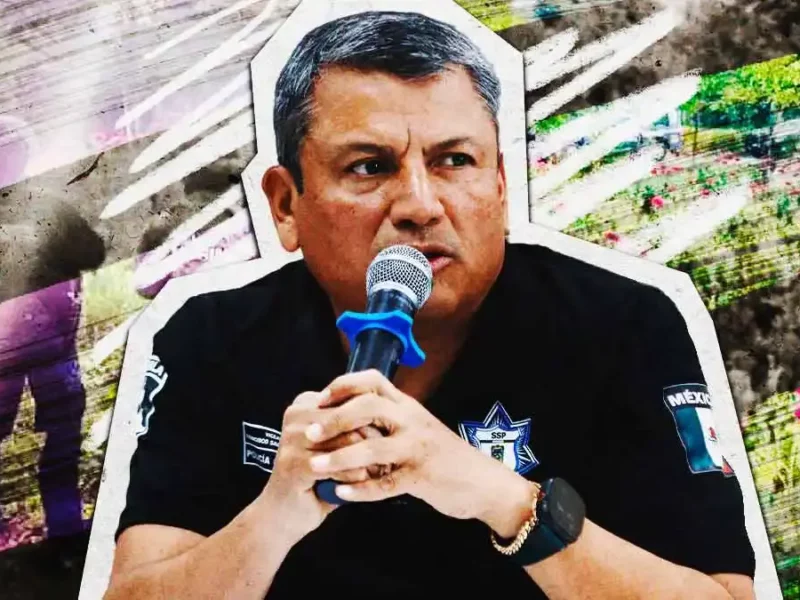 Escáner satelitál de la Marina ubicó campos de amapola en Puebla: SSP