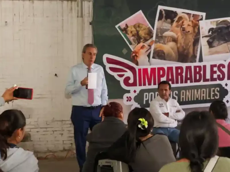 Impulsa Susana Riestra iniciativa para el cumplimiento de obligaciones alimentarias y reforzar la protección a menores 