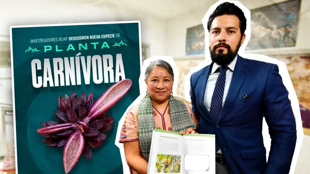 Investigadores de la BUAP descubren nueva especie de planta carnívora en Hidalgo 