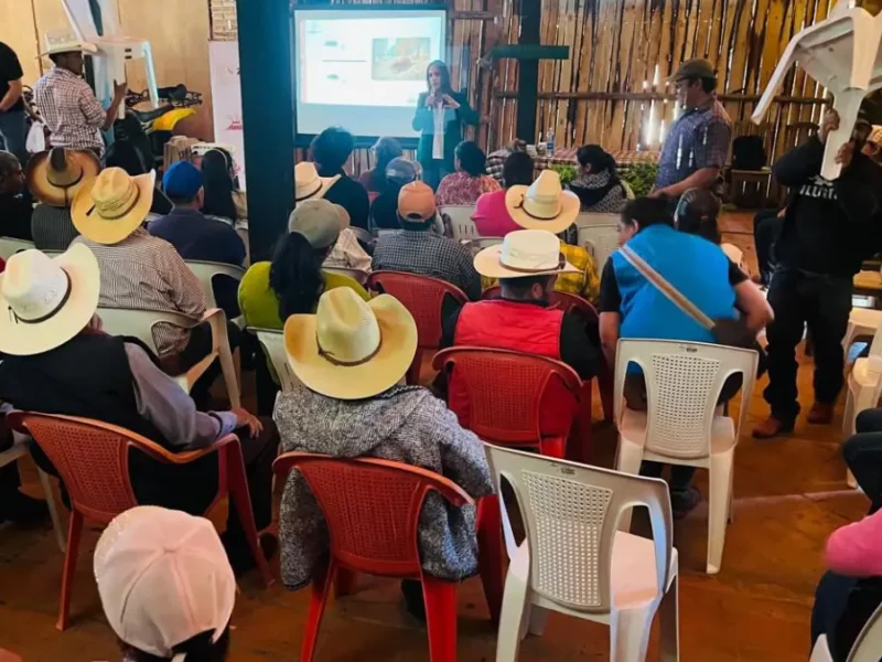 Ayuntamiento de Zacatlán capacita a ejidatarios para el control de plaga en árboles