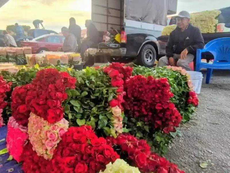 Llena de flores el corazón de mamá; Ariadna Ayala invita a celebrar con productos de Atlixco