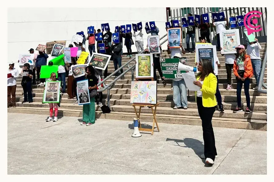 Animalistas de Puebla exigen frenar prueba de nado forzado en BUAP