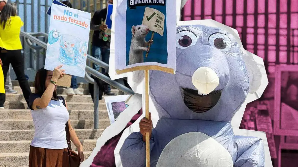 Animalistas de Puebla exigen frenar prueba de nado forzado en BUAP