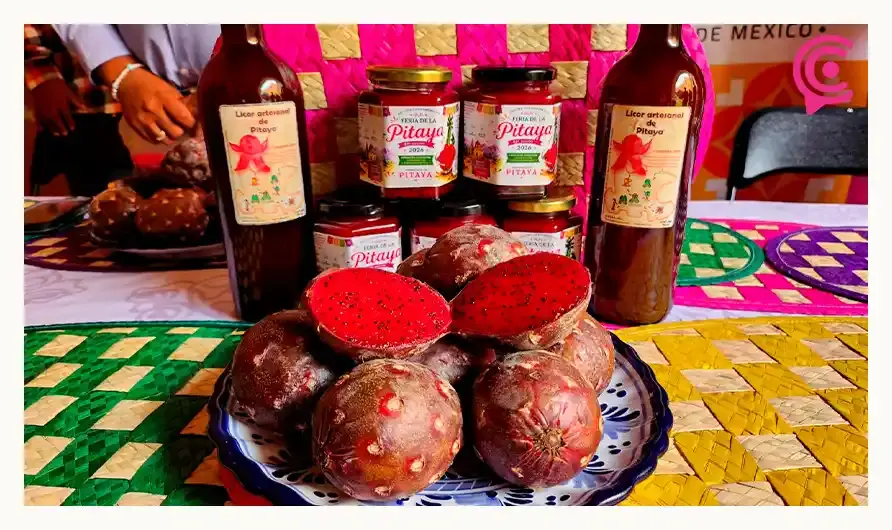 Anuncian la Feria de la Pitahaya en Huitziltepec; participarán más de 200 productores y artesanos