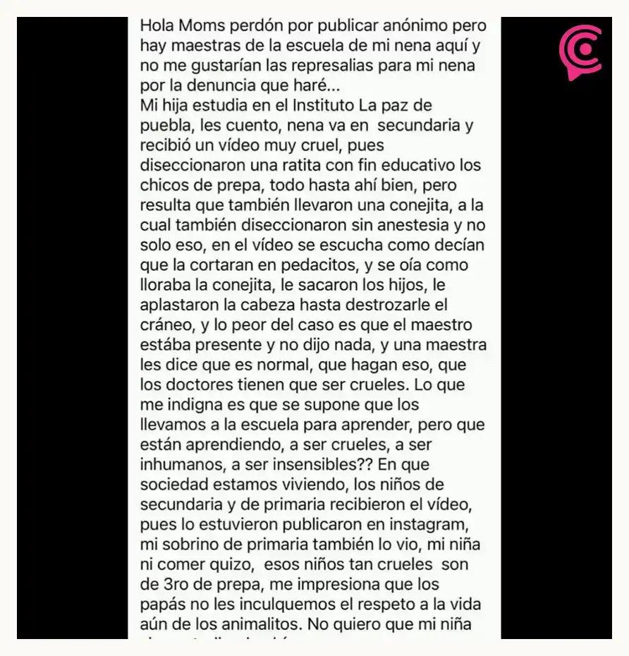 Denuncian al Instituto La Paz de Puebla por presunta crueldad animal en salón de clases