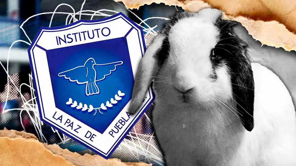Denuncian al Instituto La Paz de Puebla por presunta crueldad animal en salón de clases
