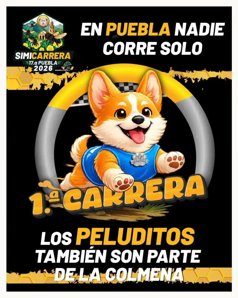 Anuncian primera caminata Simi Pet Care en Puebla; así puedes participar con tu mascota