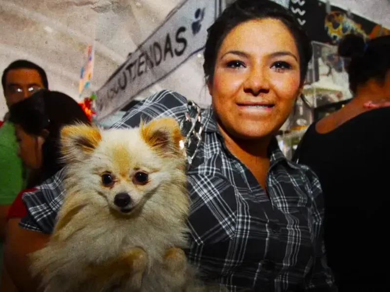 Acude a Expo Mascotas Puebla 2026; habrá concursos, adopciones y atención veterinaria gratis
